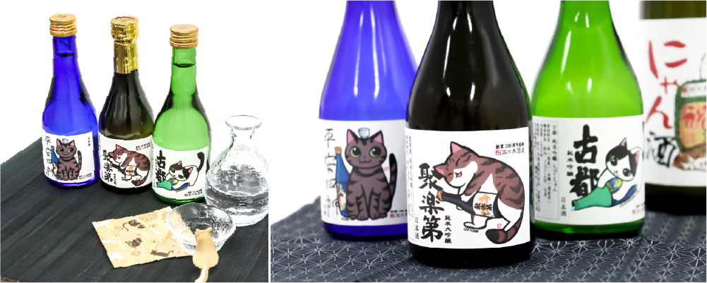 佐々木酒造猫社員