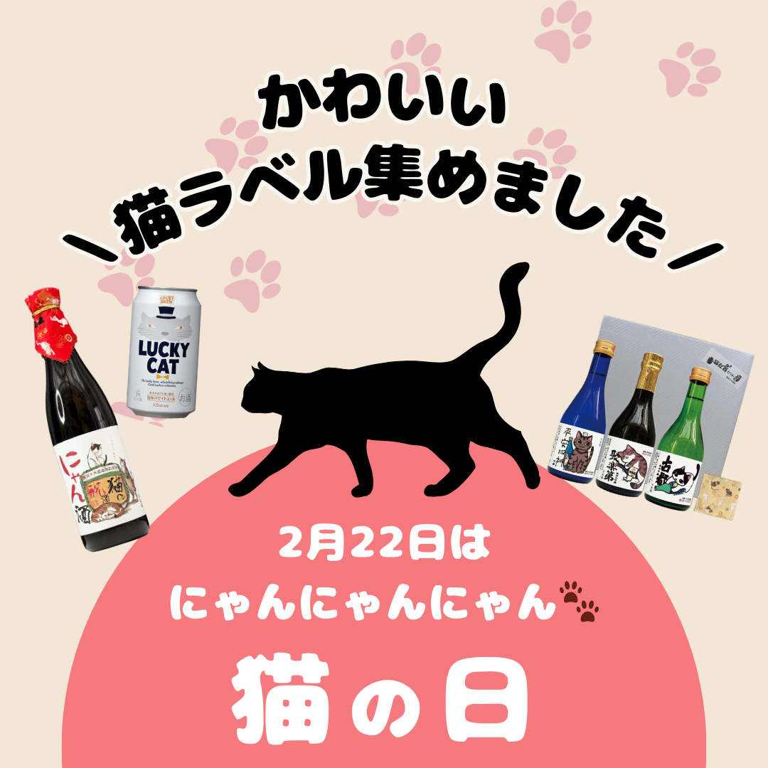 ＼かわいい猫ラベル集めました🐾 ／猫好きスタッフによる厳選！猫ラベル🐈