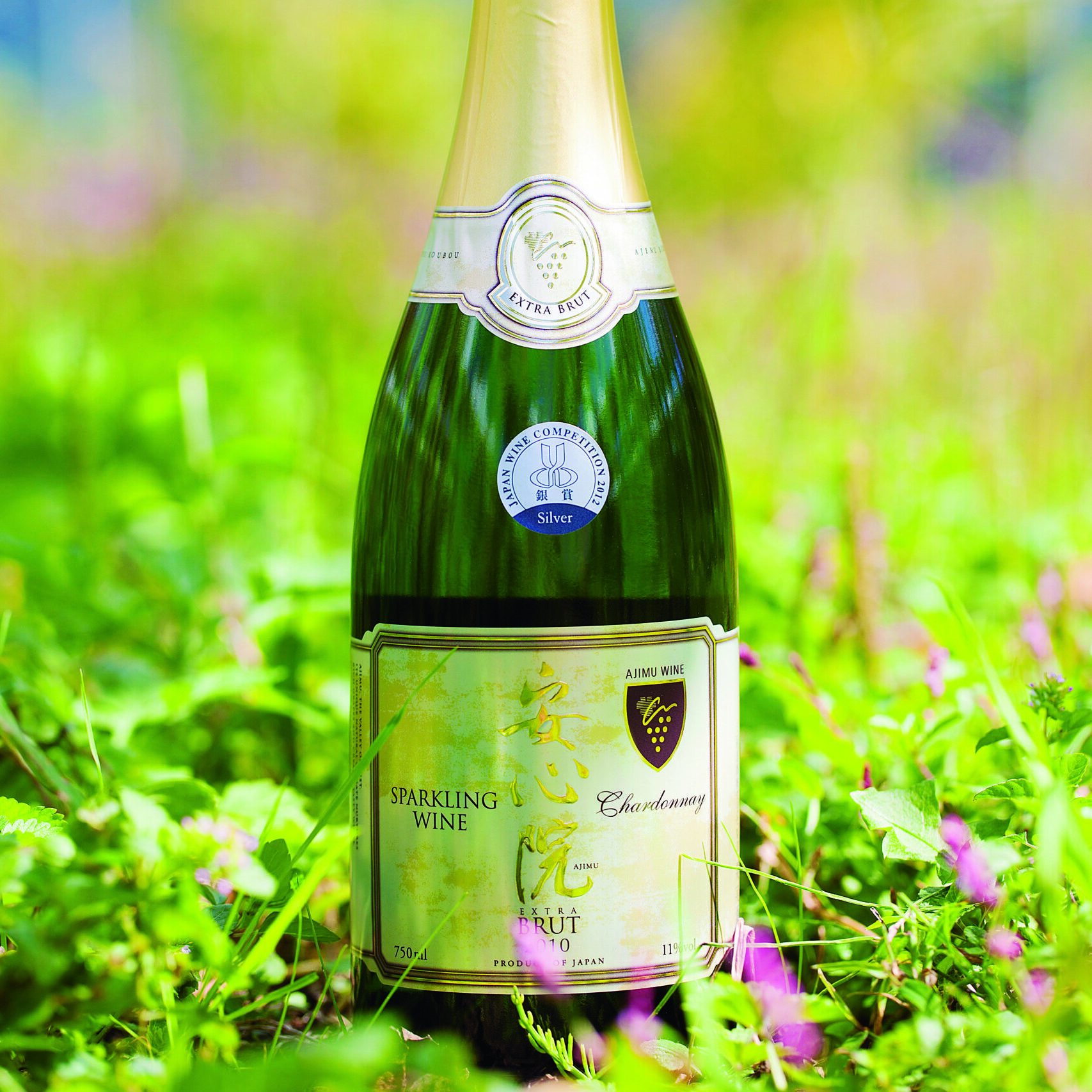 🍷安心院ワインの魅力について🍷｜日本有数の盆地でつくられる芳醇な味わい