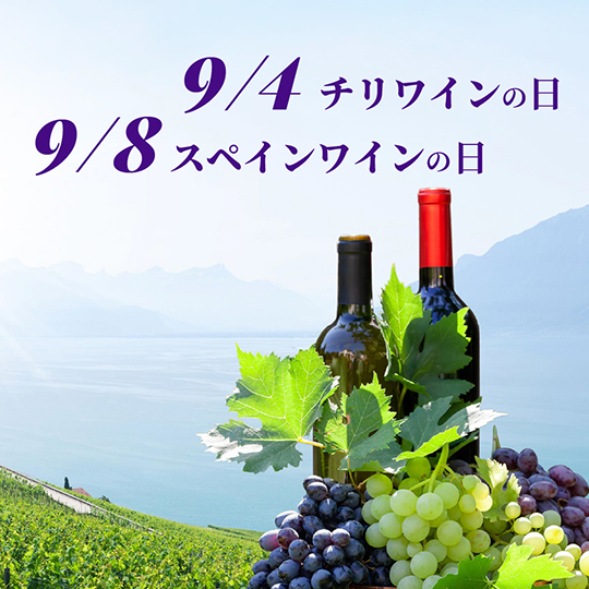 9/4チリワインの日＆9/8スペインワインの日【生産国のワインを知ろう】