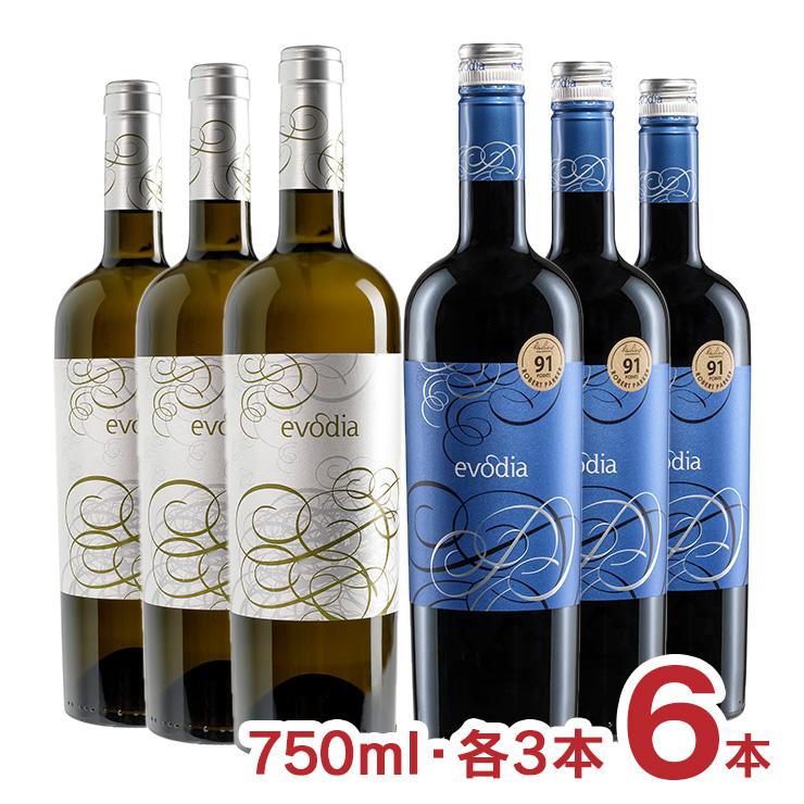 エヴォディア 赤・白 飲み比べ